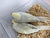 Ringneck Indian parakeet baby -Cinnamon Lutino Lacewing Male