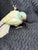 Blue Harlequin Indian Ringneck Male