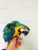 HarleyGold macaw baby